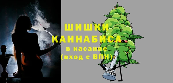 СК Дмитров