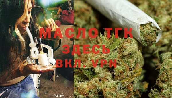 СК Дмитров