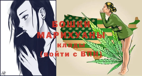 СК Дмитров